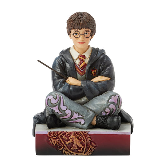 HARRY WITH WAND